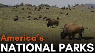 America's 62 National Parks, Explained by 435American 19,799 views 3 years ago 8 minutes, 22 seconds