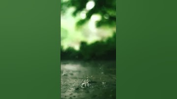#shortvideo#barish#mausam#beautiful#weather#viral#shorts#music#oldsong#alkayagnik#rain#youtube #yt