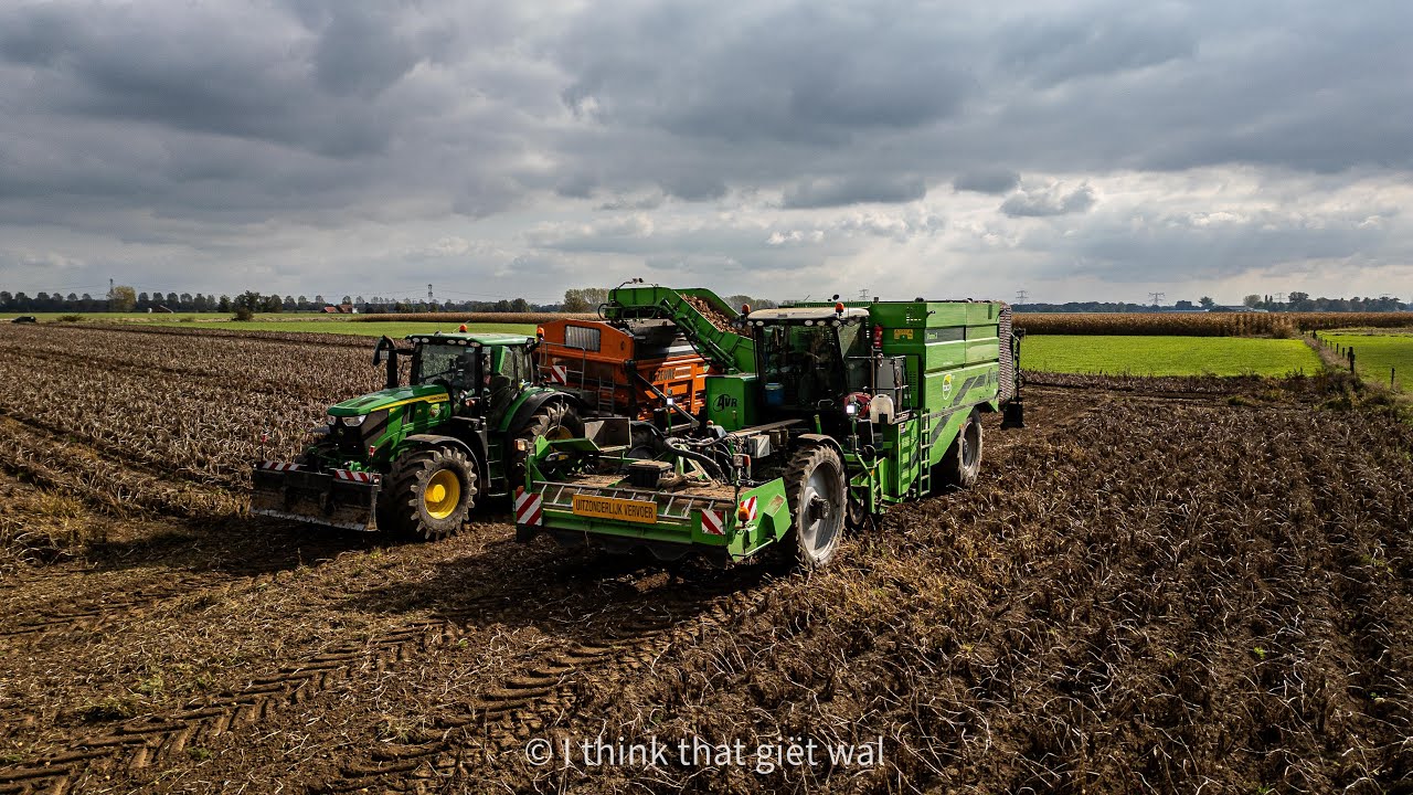 Aardappel oogst 2025 België / Potato harvest 2025 Belgium / Taco Agro BV