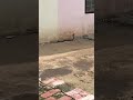 Gher me nag a gaya tha #nagpuri_status #highlights #dance #dream