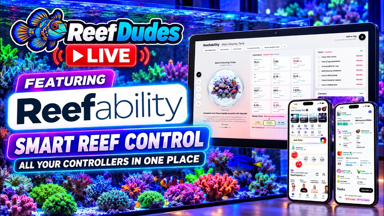 Reefability - AI connected Reef Ecosystem and Community Live with Andrew