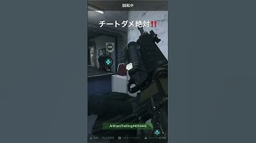 チーターどんまい #dmz #アシカアイランド #ashikaisland #codmw2 #cod #シベリアンハスキー