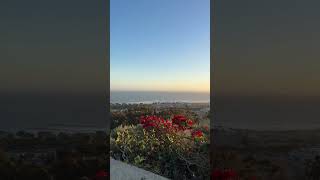 Ventura Sunset Vibes, Even on a Windy Day 😍 #ventura #beach #shorts #travel