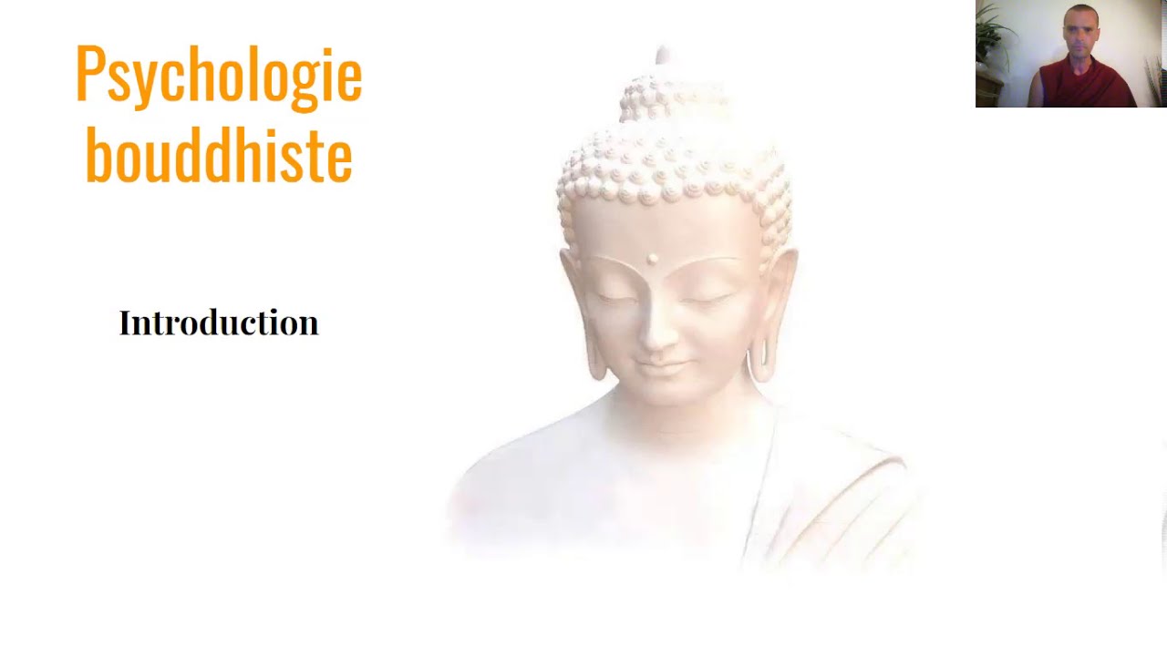 Psycho 1 – introduction aux 7 types de cognition