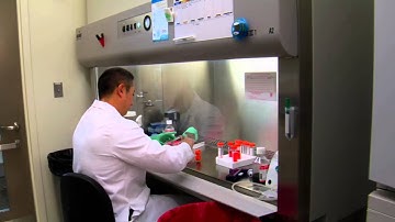 Scientists At Work In Laboratory
