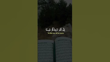قران كريم راحة نفسية غذاء الروح ♥️ #like #explore #تابعوني