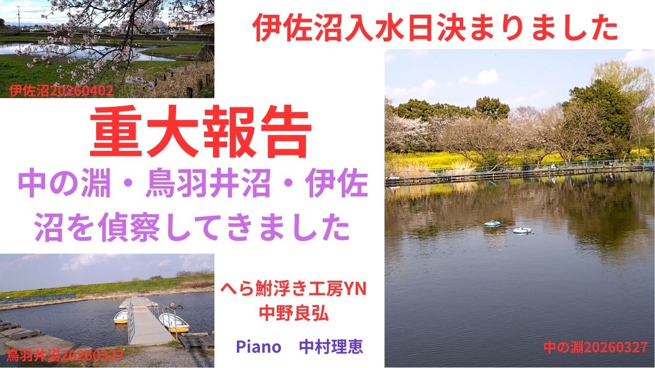 Crucian carp fishing] We scouted Nakano-buchi, Tobainuma, and