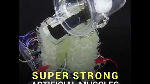 Humantech future: Artificial muscles