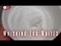 Whisking Egg Whites / Michael Lim
