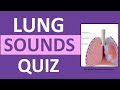 Lung Sounds Quiz NCLEX Review Crackles, Wheezes, Stridor, Pleural Friction Rub