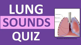 Lung Sounds Quiz NCLEX Review Crackles, Wheezes, Stridor, Pleural Friction Rub