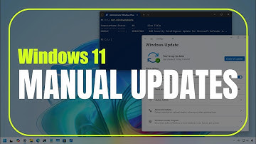 Windows 11: Manually Download and Install Updates