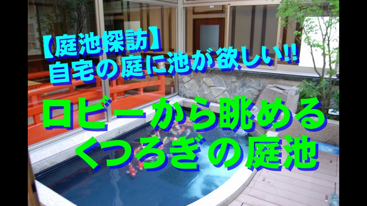 錦鯉池 別邸 ロビーから眺めるくつろぎの和風鑑賞池 スーパーマリンnew 650 Koi Pond Biofilter Keihan Koi Farm Youtube