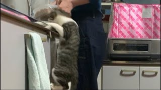 どうせなら尻に来いやーーーっ！！！