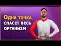 Самомассаж одной точки для ленивых: как избавиться от болезней, не прилагая усилий. А так можно?