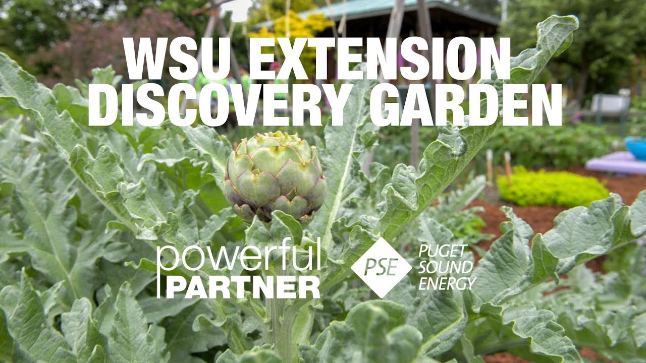 Powerful Partners Washington State University Extension Skagit