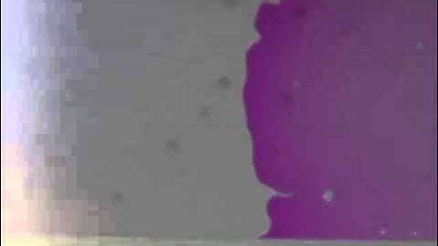 A novel fluidic control method for nanofluidics by the solvent-solvent interaction in a hybrid chip