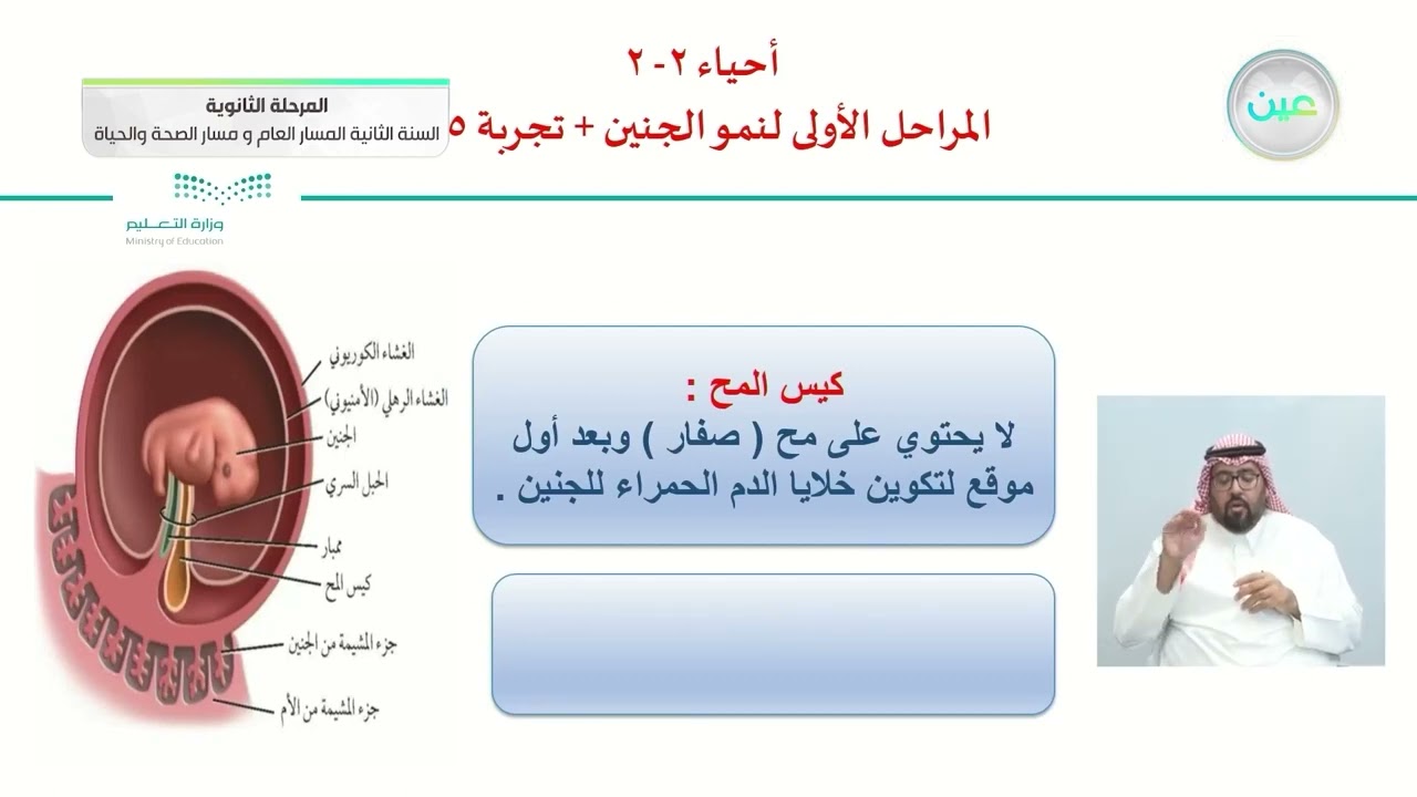 المراحل الأولى لنمو الجنين + تجربة 5- 2 - الأحياء (2-2)
