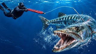 Spearfishing One Of The Most Feared Fish In The Ocean!