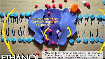 Cell Signaling: ALCOHOL Stop motion video