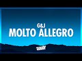 G J Molto Allegro Mozart Techno Remix 432Hz