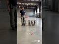 Puppies training for k9 duties #k9 #germanshepherd #puppy #dog #dogtraining #fyp #trending #viral