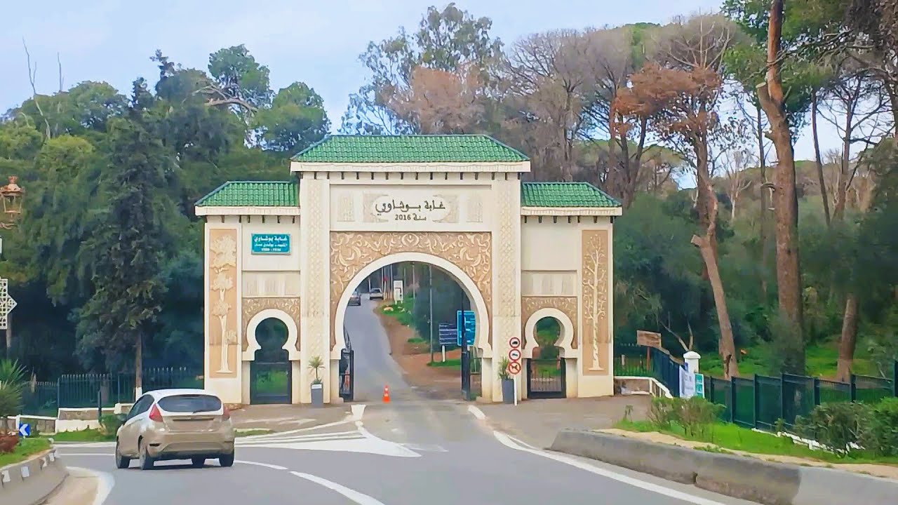 تابعو آخر جولة جميلة بين ولاد فايت بوشاوي و سطاوالي  NEW OULED FAYET STAOUELI BALLAD 