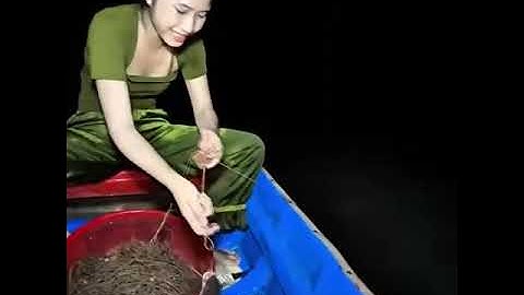 Bí kíp Giăng Câu Cá Lăng Khủng Khi Vào Mùa Lũ