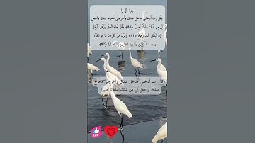 وقل جاء الحق وزهق الباطل إن الباطل كان زهوقا | سورة الإسراء #دعاء_ورسالة