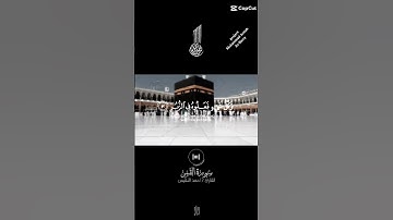 إِنَّا كُلَّ شَيْءٍ خَلَقْنَاهُ بِقَدَرٍ #تلاوة_هادئة #قران_كريم #mohamed_gomaa_elpry #لايك