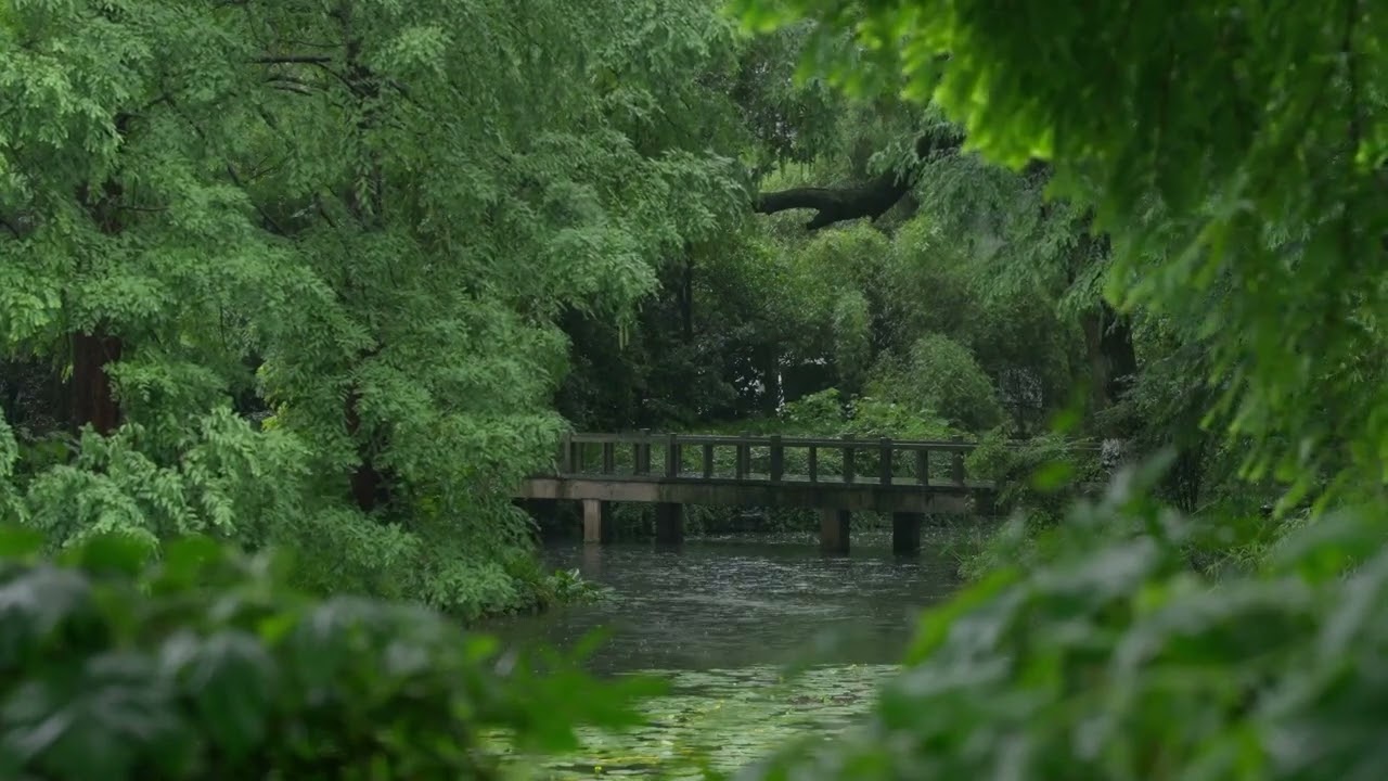 Ruhiger Fluss bei Regen im Wald