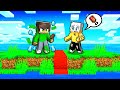 Il MIO AMICO ha DIVISO l'ISOLA a METÀ su Minecraft!