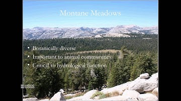 Prioritizing Conservation Areas: A Look at "Climate Refugia"