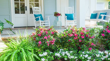 Press Play on Encore Azaleas & Enjoy Flowers All Season