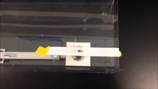 Merging Two Droplets With Magnetic Beads