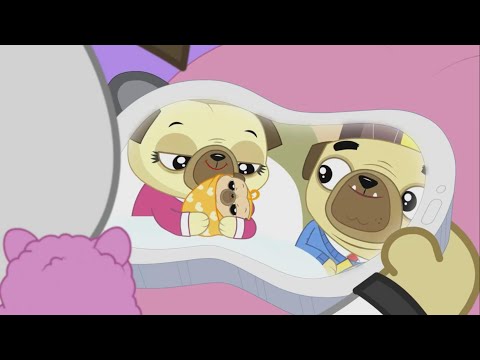 Vídeo: Asma em filhotes