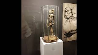 Museum Obscurum Danmark