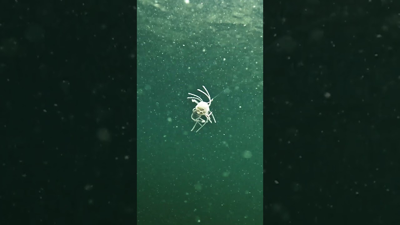 Да, это уже немного...🤩😏