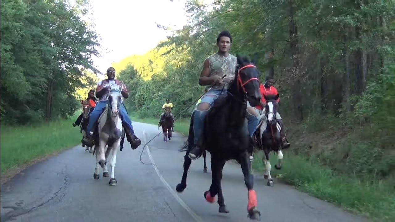 Speed South Racking Road Racing and Speed Racking Horses Down South - YouTube