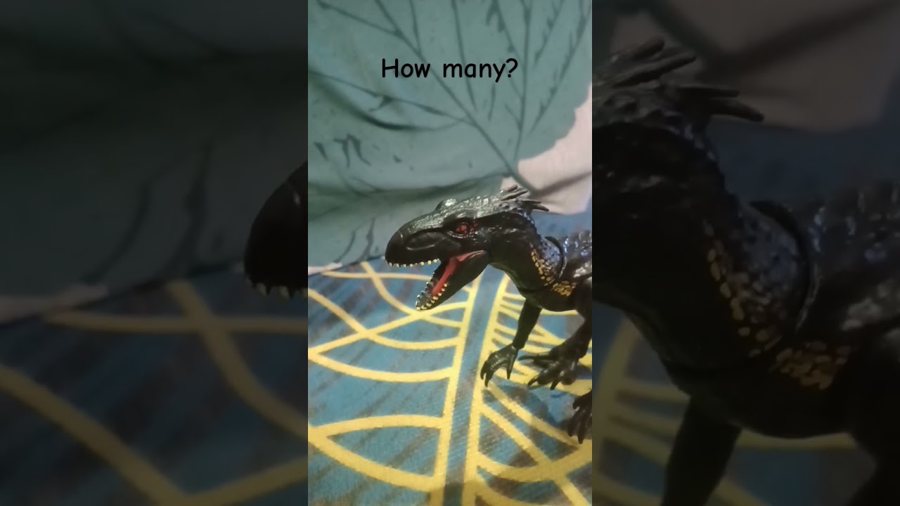 moros intrepidus is not smart at math