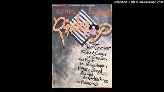 The Rainbirds - 7 Compartments - Pinkpop 1988