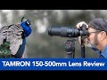 Tamron 150-500mm Telephoto Lens - In-Depth Hands On Review