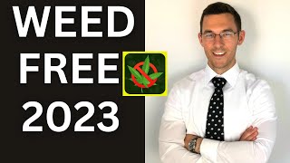 Weed Free In 2023 AddictionMindset Program!