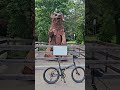 Воробьевская набережная