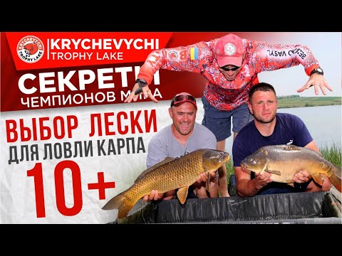 Выбор лески для ловли карпа 10+