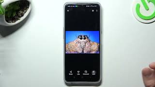 How to Perform a Reverse Google Picture Search on OPPO A77s screenshot 5
