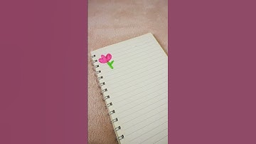 Front Page Notebook Decoration / Border Design Ideas... #shorts #notebook_design #borderdesign