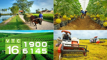 Các tỉnh vùng cao phất lên nhờ hợp tác xã - NTM 442 | VTC16