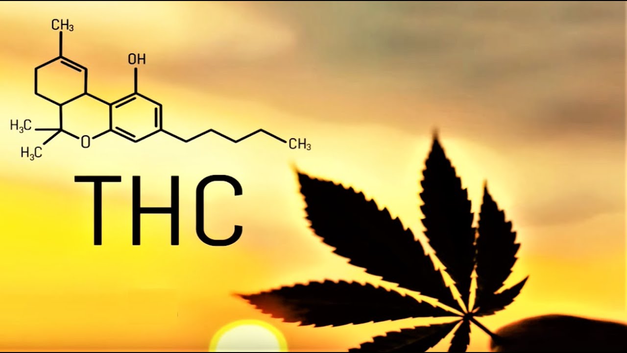 Four Facts About Marijuana: Connected to Mental Health Problems Four Facts About Marijuana: Connected to Mental Health Problems