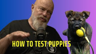 Testing Puppies